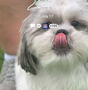 Meet your Posher, Cheryl